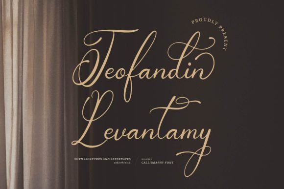 Teofandin Levantamy: A Stylish Font for Marketers